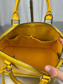 Louis Vuitton Alma Vintage Bag